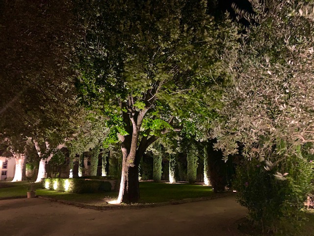 LA CITÉ DES PRINCES EN LUMIÈRE – Éclairer son jardin – Jardins de Nuit