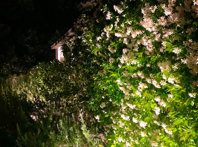 VILLA PROVENCALE ET SON DOMAINE ILLUMINÉS POUR L'ÉTÉ ! – Éclairer son jardin  – Jardins de Nuit